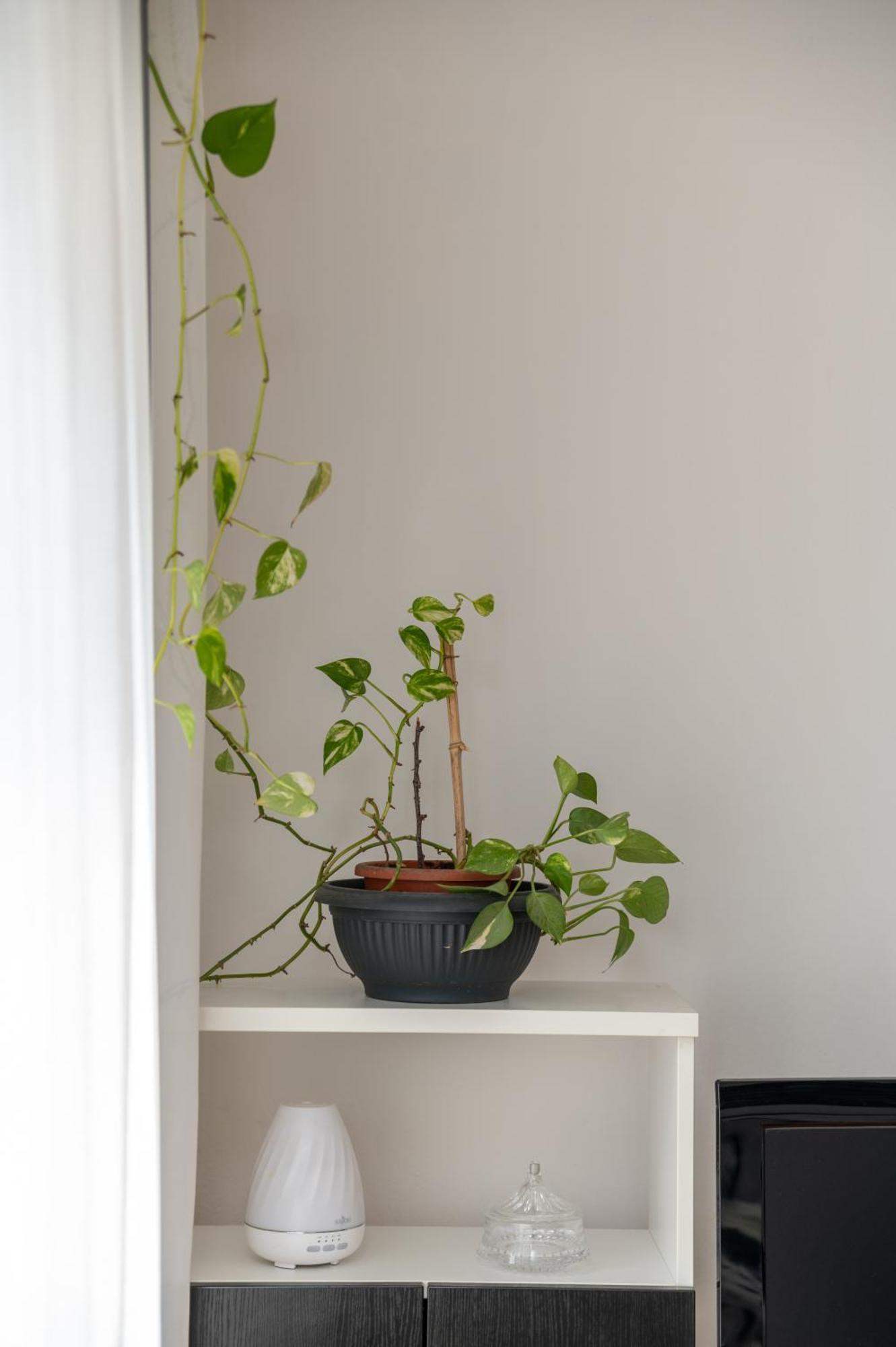 Apartman Milijana Fažana Exteriér fotografie